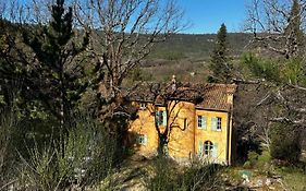 Domaine D'Angouire